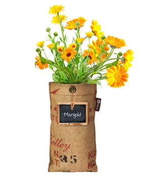 Mini-Garten BIO-Calendula �Essbare Blume� (1 Komplett-Set)