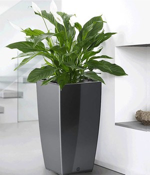 EMSA� CASA BRILLIANT S�ule 57 cm hoch �grau� (1 St�ck)