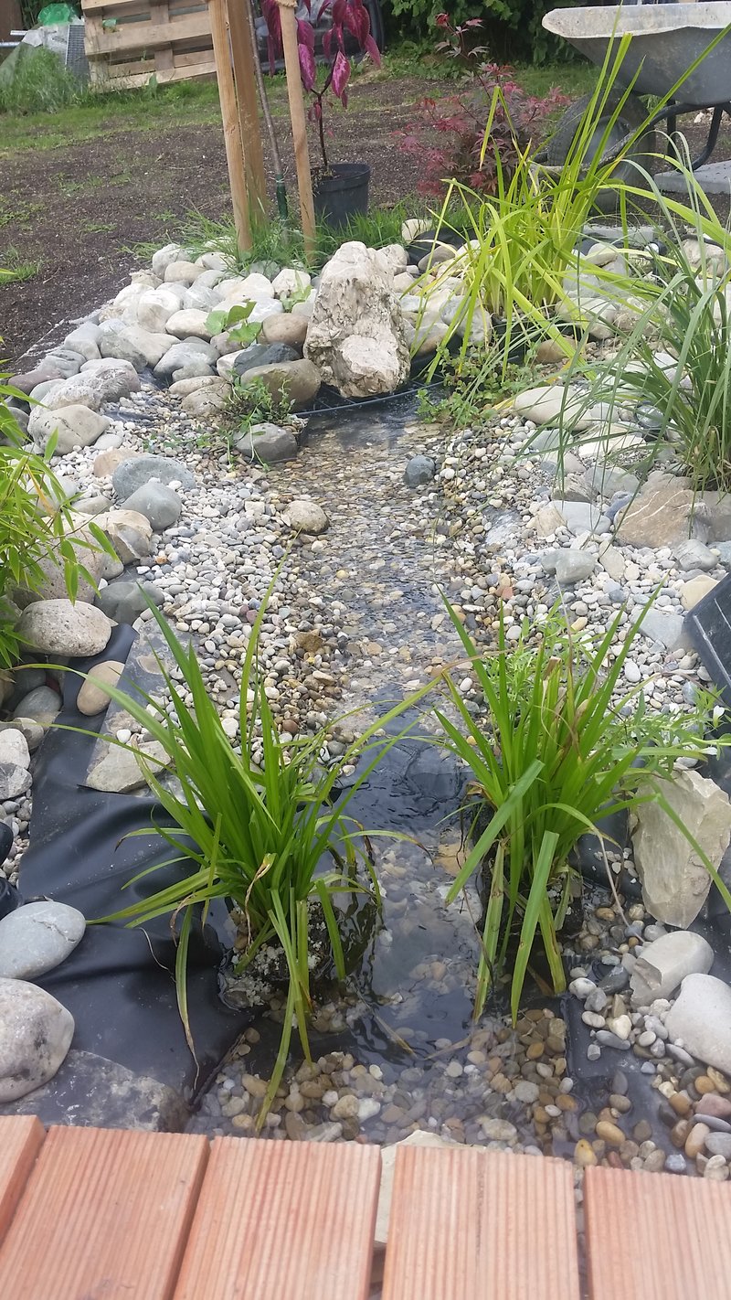 kleiner teich mit bachlauf Seite 3 Garten Gartenforum.de