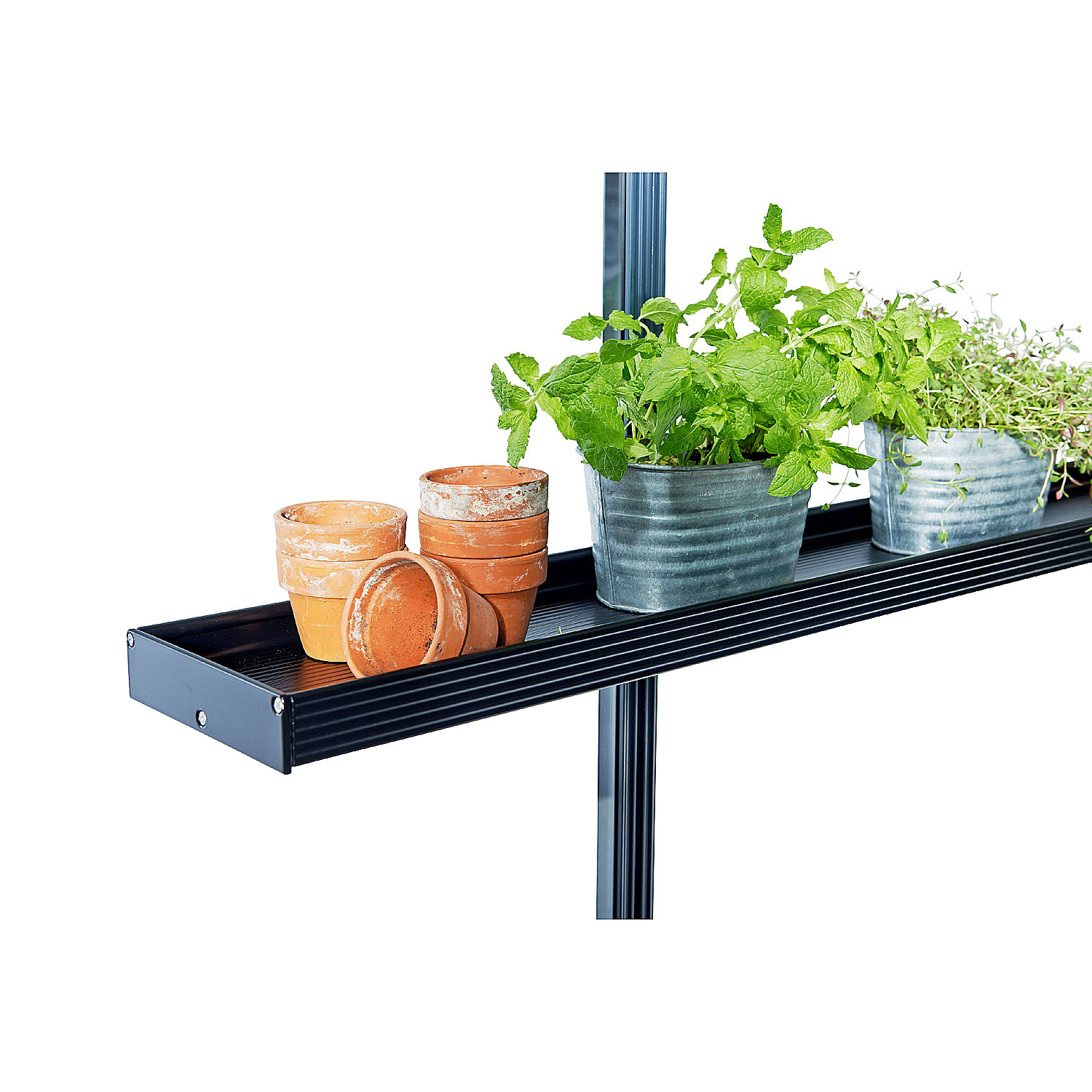 Juliana Aluregal schwarz 2 Sektionen