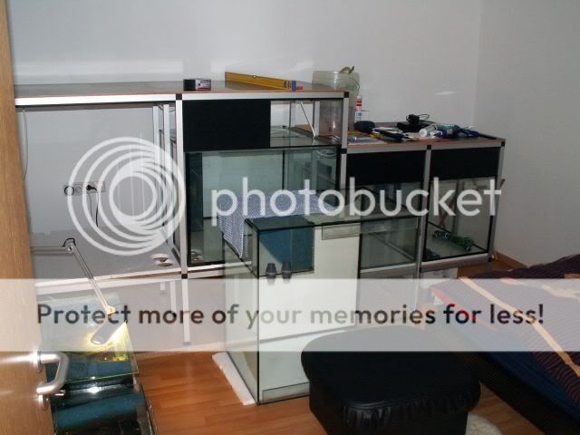 Meine Schlafzimmeranlage - Aquarium Forum