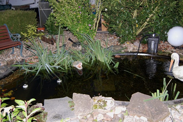 Grüner Teich was tun? Garten Gartenforum.de