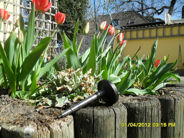 Sachs 502/1 A+B Reparatur ohne Spezialwerkzeug - Forum Mofapower.de