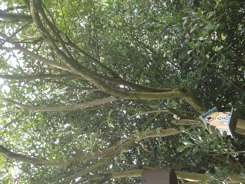 Eigener Garten - wie anfangen? - Garten: Gartenforum.de