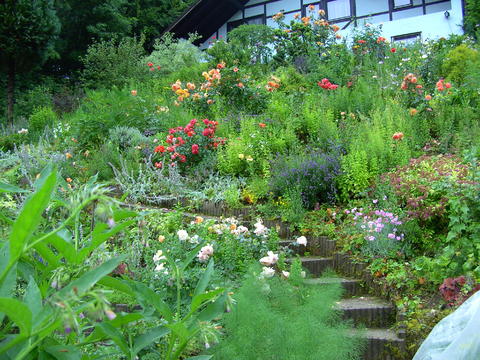 Neubau Steilhang SüdWestausrichtung Garten Gartenforum.de