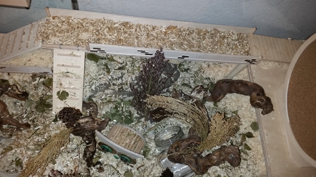 [Aquarium] Mein aller ersters Hamster Aquarium - Seite 6  