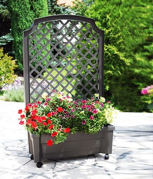 �Calypso� Pflanzenkasten auf Rollen mit Bew�sserungssystem + Spalier �anthrazit� (1 St�ck)