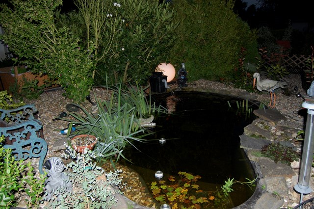 Grüner Teich was tun? Garten Gartenforum.de