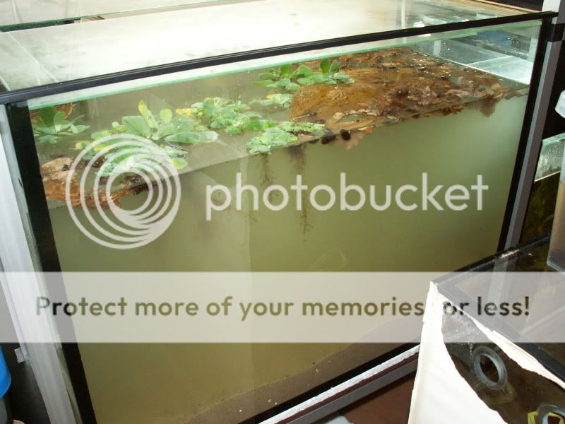 Meine Schlafzimmeranlage - Aquarium Forum