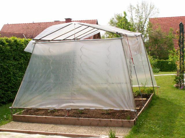 Tomatengewächshaus selber bauen Garten Gartenforum.de