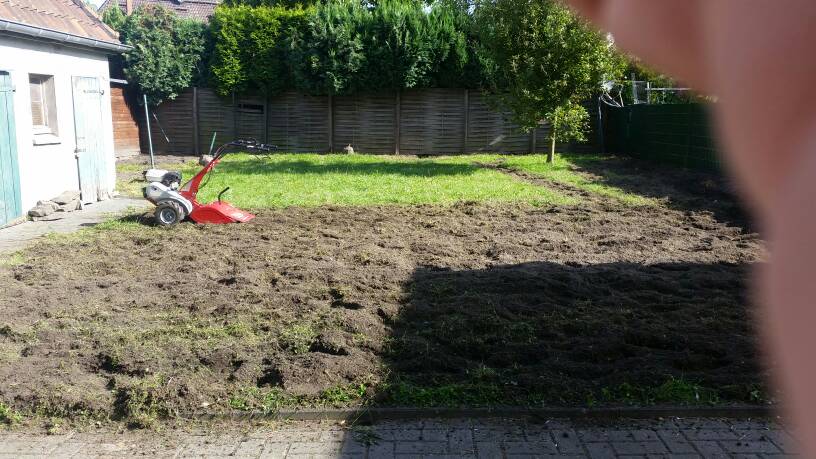 Wie Bekomme Ich Den Maulwurf Aus Meinen Garten Wie bekomme ich daraus wieder einen gepflegten Rasen - Garten