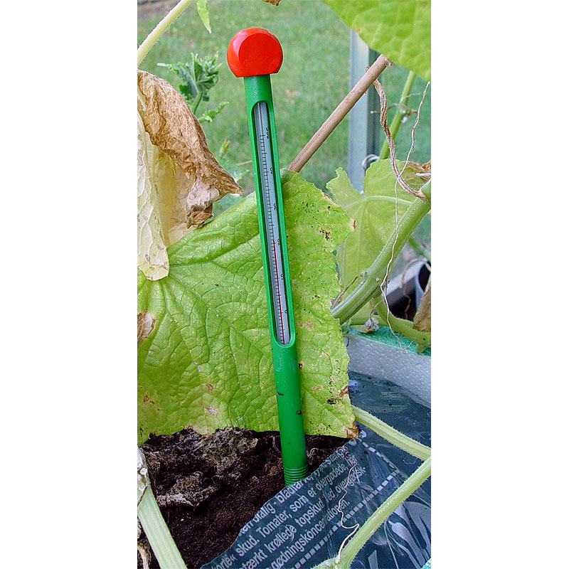 Juliana Erdbodenthermometer