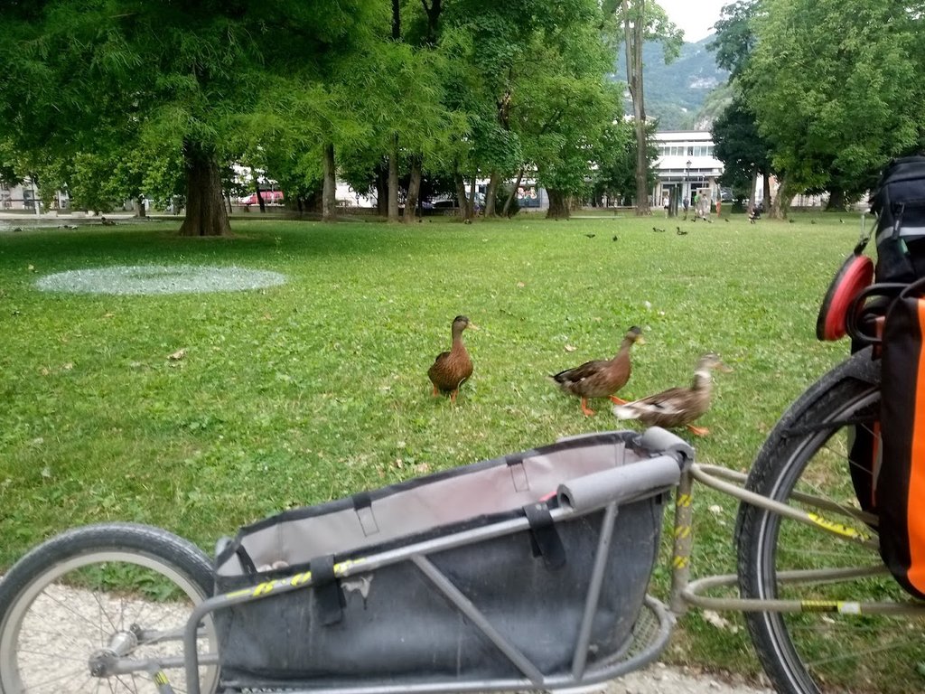 Planlos durch Österreich Fahrrad Radforum.de