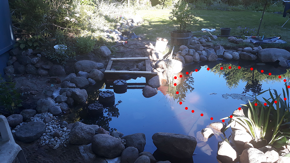 Teich ist da Mücken auch! Garten Gartenforum.de