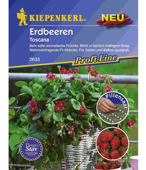 Erdbeere �Toscana� Pillensaat (1 Portion Samen)