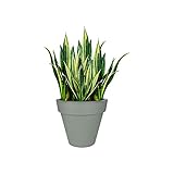 Elho Pure Round 40 - Blumentopf - Steingrau - Drinnen & Drau�en  - � 39.5 x H 35.7 cm