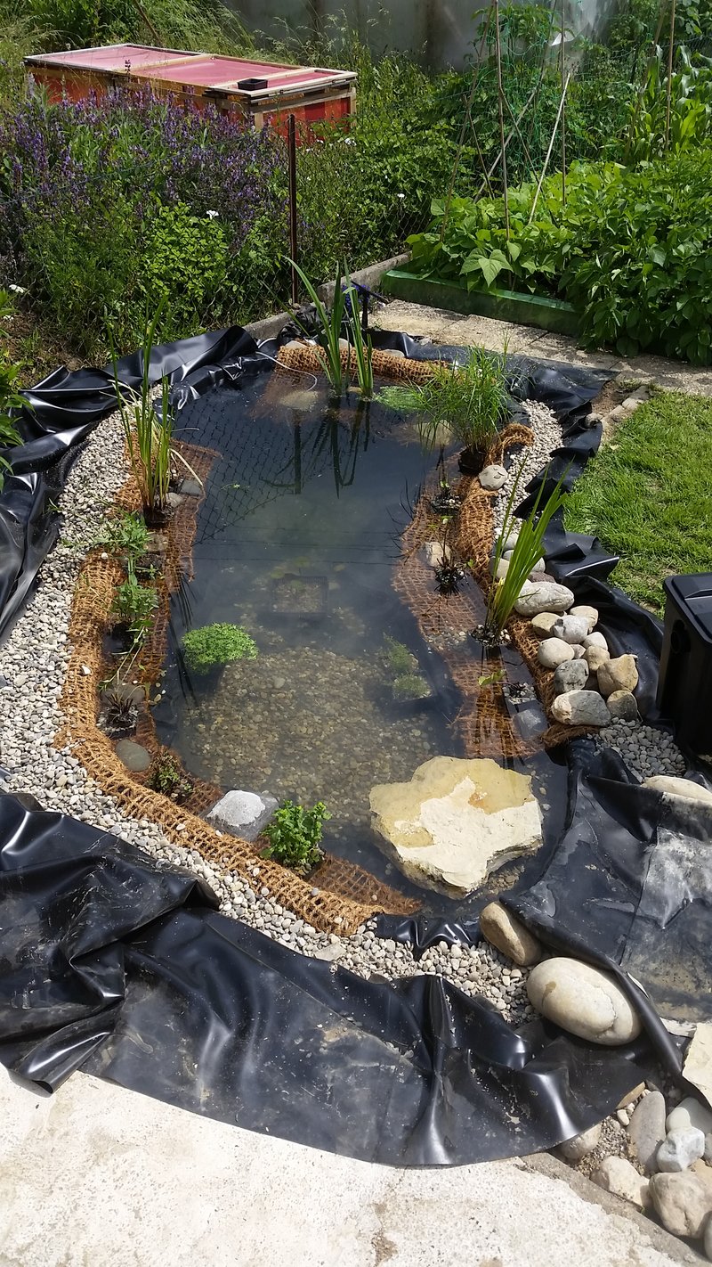 kleiner teich mit bachlauf Seite 3 Garten Gartenforum.de