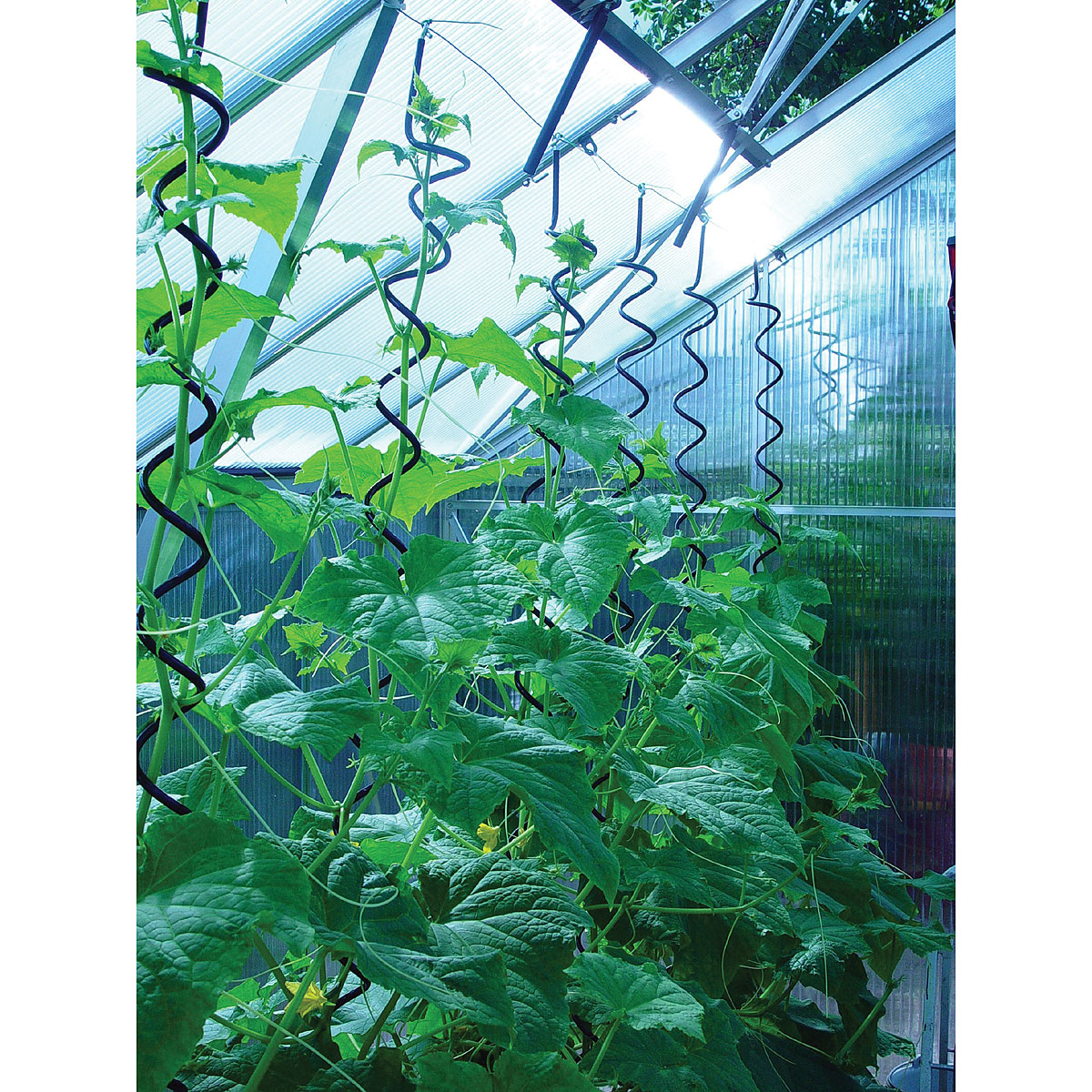 Zubeh�r Juliana Gew�chshaus - 3 St�ck Pflanzenspirale