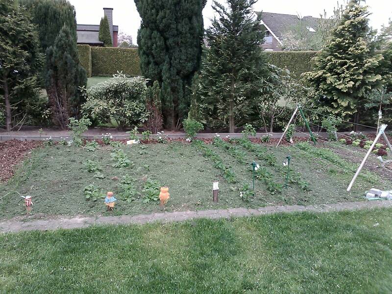 Mit Rasenschnitt mulchen ?! Garten Gartenforum.de