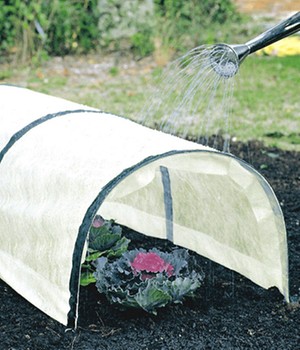 Bio-Pflanztunnel 45x50x300 cm (1 St�ck)