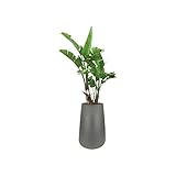 Elho Pure Cone High 55 - Blumentopf - Steingrau - Drinnen & Drau�en  - � 52 x H 84.3 cm