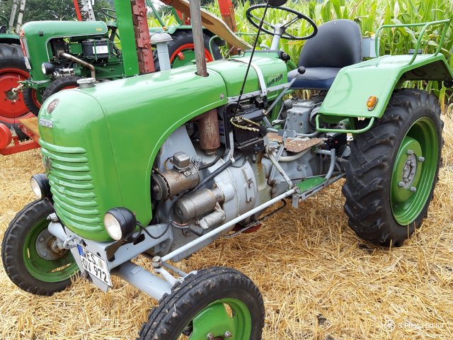 2 Mädels, 2 Jungs, 16 Pfoten und Sternchenkater Knubbel - Seite 702