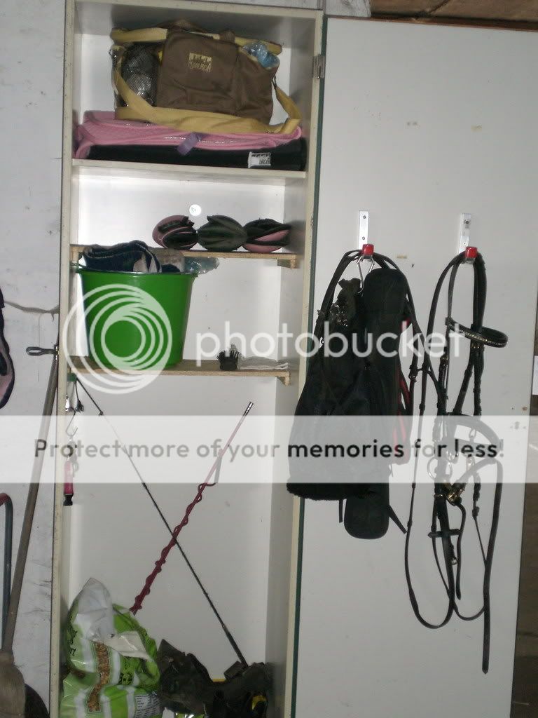 Wie ist euer (Sattel)Schrank bepackt? - Seite 2 - Forum Pferd.de
