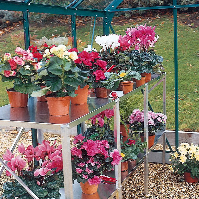 Juliana Alu-Tisch, 3 Sektionen