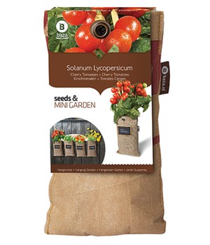 Mini-Garten BIO-Kirschtomaten (1 Komplett-Set)