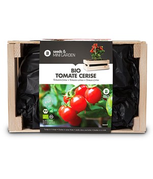 Mini-Garten BIO-Tomate �Cerise� (1 Kiste)