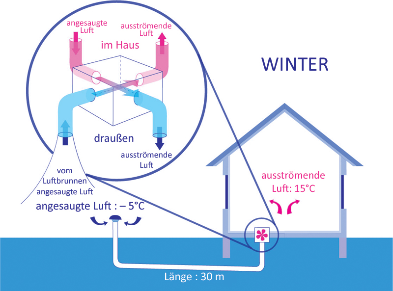 Feuchter betonierter Keller unter Schrebergartenhaus - Garten