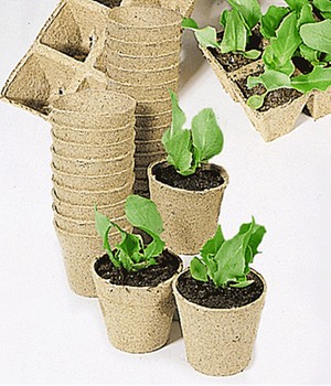 Jiffy-Torft�pfe 6 cm rund (100 T�pfe)