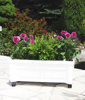 �Calypso� Pflanzkasten auf Rollen mit Bew�sserungssystem �weiߴ (1 St�ck)