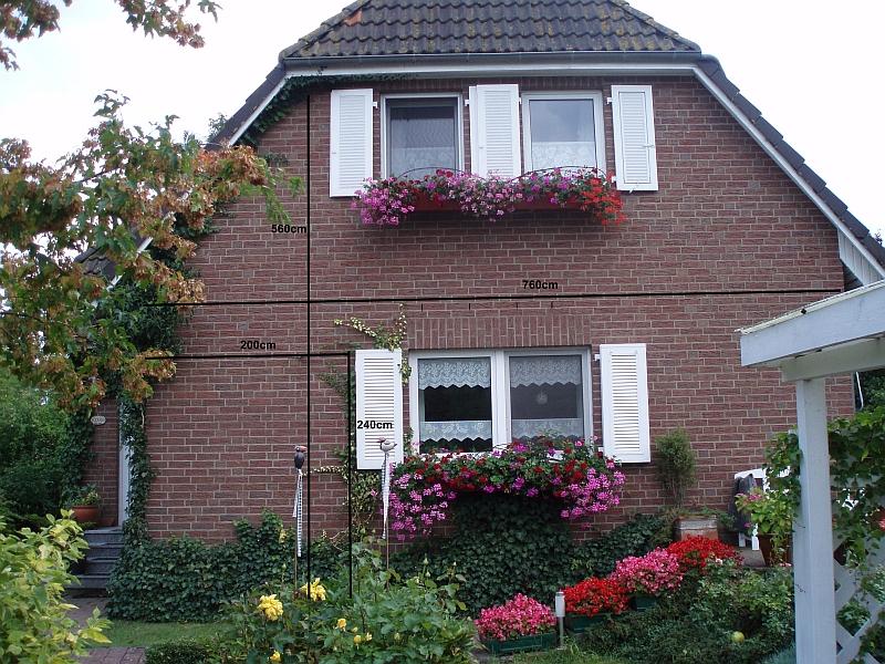 [Wein] Wein an der Hauswand Garten Gartenforum.de