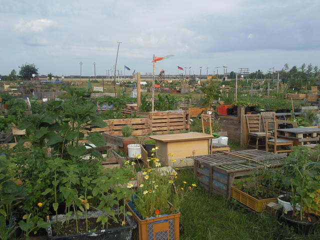 urbanes Gärtnern ExFlughafen Tempelhof BERLIN Garten Gartenforum.de