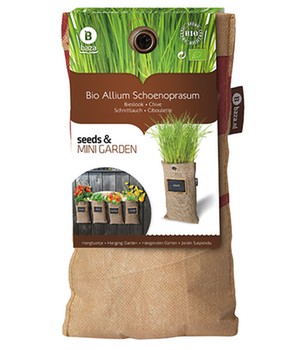 Mini-Garten BIO-Schnittlauch (1 Komplett-Set)