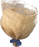 Lucht 307332 Jute-Schutzvlies 105 x 500 cm, PE-Tragbeutel