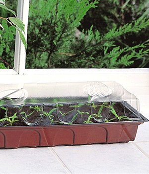 Fensterbank-Gew�chshaus (3 St�ck)