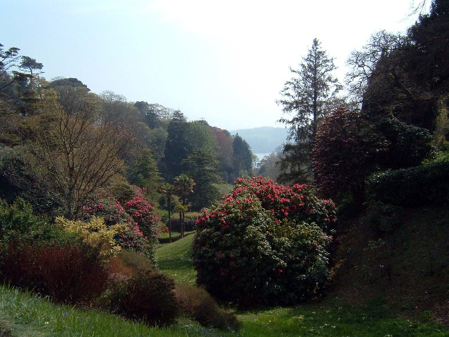 Gärten in Cornwall Glendurgan Garten Gartenforum.de