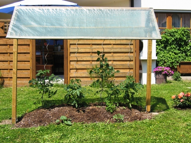 Tomatendach selber bauen? Garten Gartenforum.de