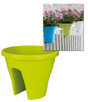 Corsica Flower Bridge� limegr�n (1 Topf)