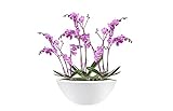 Elho Pure Soft Bowl 50 - Blumentopf - Weiss - Drinnen & Drau�en  - � 48.9 x H 20.1 cm