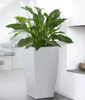 EMSA� CASA BRILLIANT S�ule 57 cm hoch �weiߴ (1 St�ck)