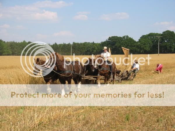 27.07.08 Historische Getreideernte in HamburgBergstedt