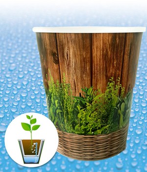 WaterWick� Topfsystem �Kr�uter-Mix� (1 Set)