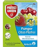 Bayer "Obst-Pilzfrei Teldor" 6 x 5 g Packung, gegen Schimmel und Pilze