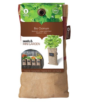 Mini-Garten BIO-Basilikum (1 Komplett-Set)