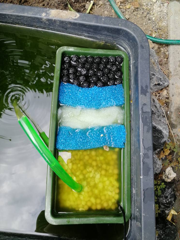 Außenfilter Außenfilter für Teich? Aquarium Forum