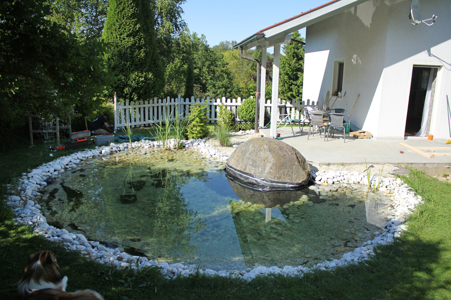 HILFE!! Teich über Nacht BRAUN!! Garten Gartenforum.de