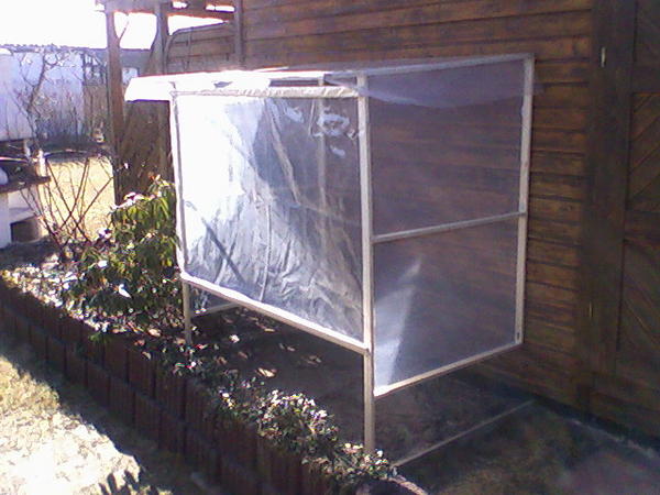 Tomatenüberdachung - Garten: Gartenforum.de